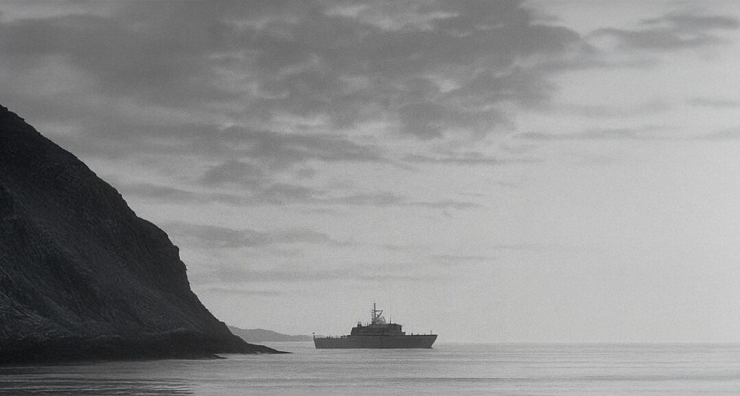 Roman « Sur la route des myosotis », extrait n°6